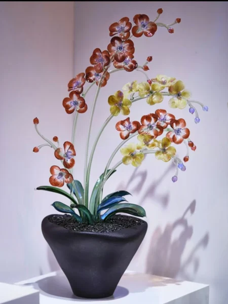 Golden red Phalaenopsis